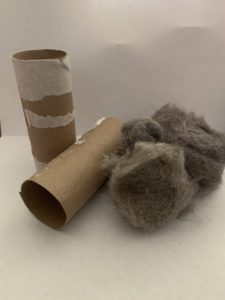 tp rolls and dryer lint